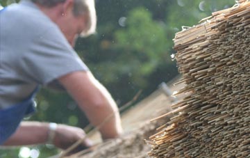 professional Bancffosfelen thatchers